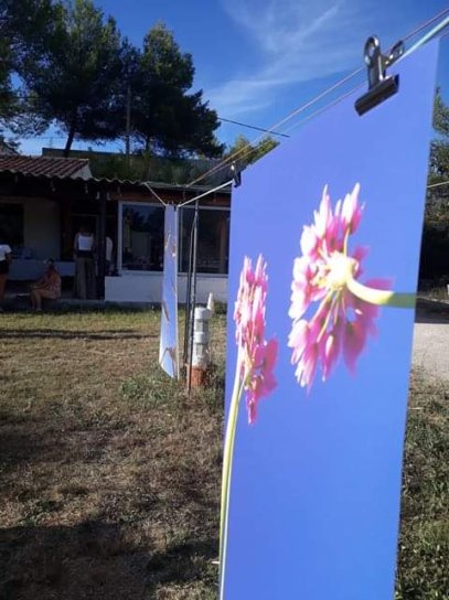 image expo_chez_nathalie_teyran.jpg (40.0kB)